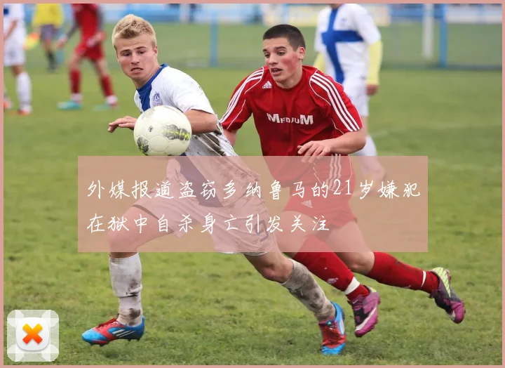外媒报道盗窃多纳鲁马的21岁嫌犯在狱中自杀身亡引发关注