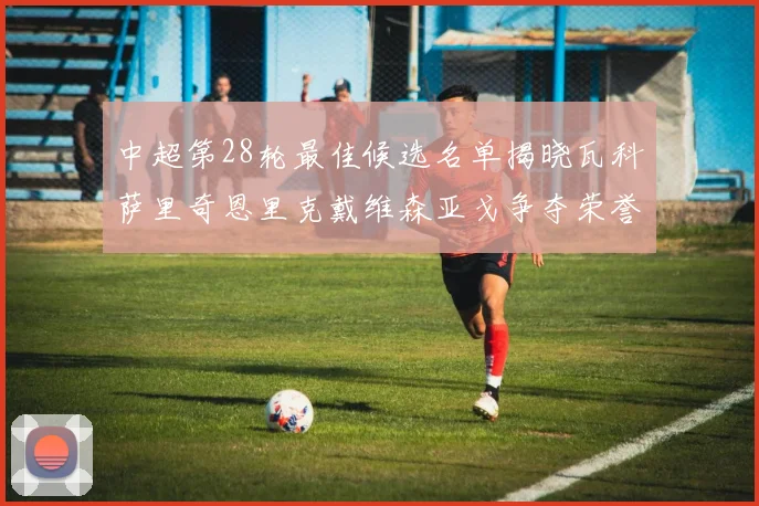 中超第28轮最佳候选名单揭晓瓦科萨里奇恩里克戴维森亚戈争夺荣誉