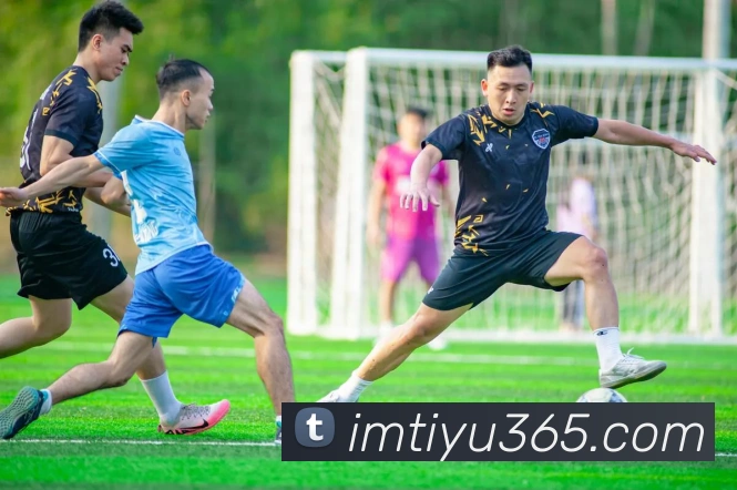 IM体育发展历程